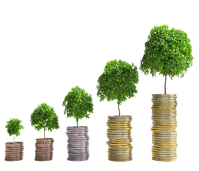 Investment Plan