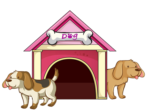 Pet Insurance